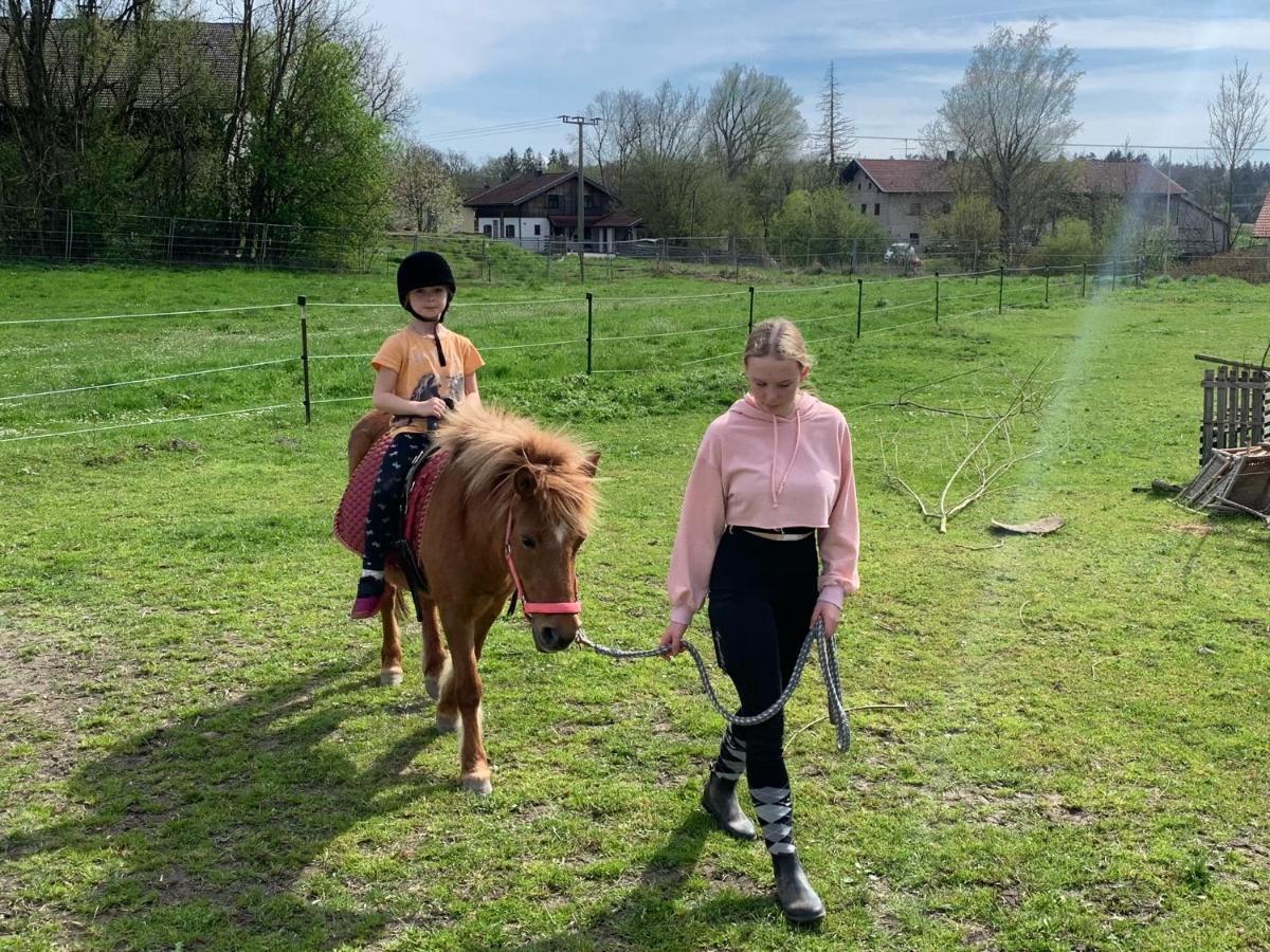 Ferienwohnung Am Ponyhof Altötting Екстериор снимка